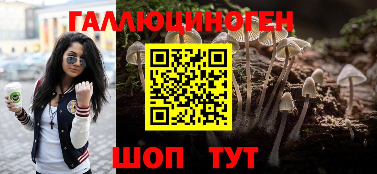 Галлюциногенные грибы прущие грибы  Галлюциногенные грибы прущие грибы  Вход с VPN  Краснокаменск 